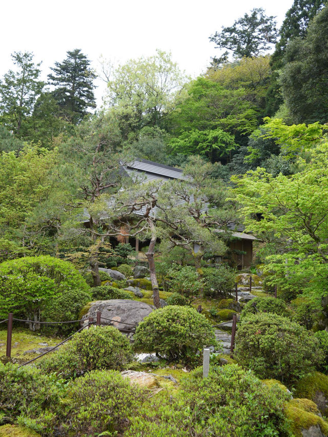 【石川×那谷寺】まるで手のひらのような三尊石