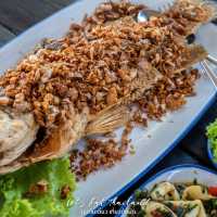 โกหมาก หัวหิน