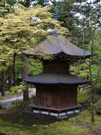 【福井×永平寺】空気が一変！深い緑に囲まれた参道