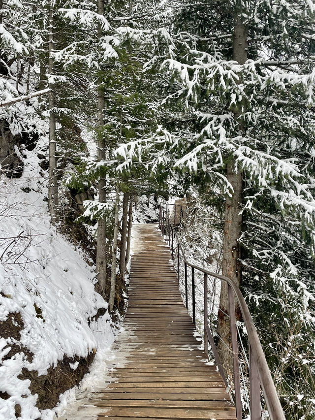 Stuck Between Seasons