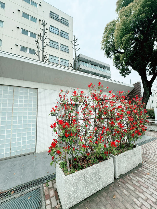 東京｜東陽町一日遊 🌸