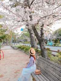 朝日に染まる桜🌸💓