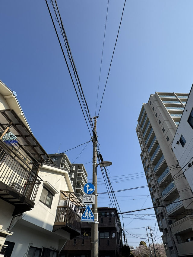 東京｜木場豐住公園一日遊 🌳