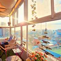 A Cherry Blossom Panorama ☕🌸🌇
