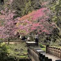 沼平公園 Zhaoping Park