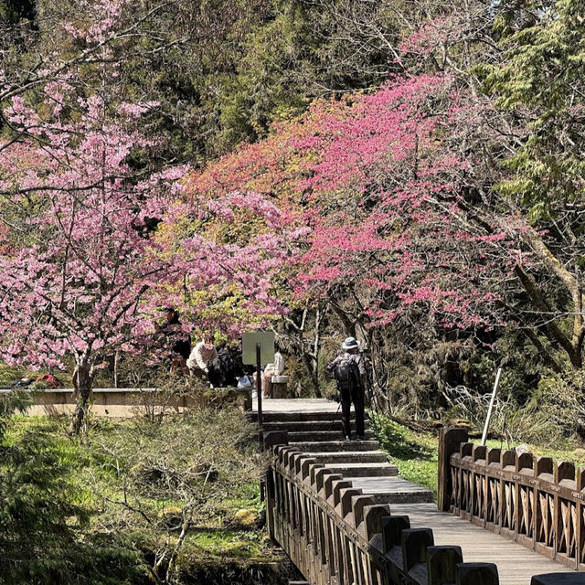 沼平公園 Zhaoping Park