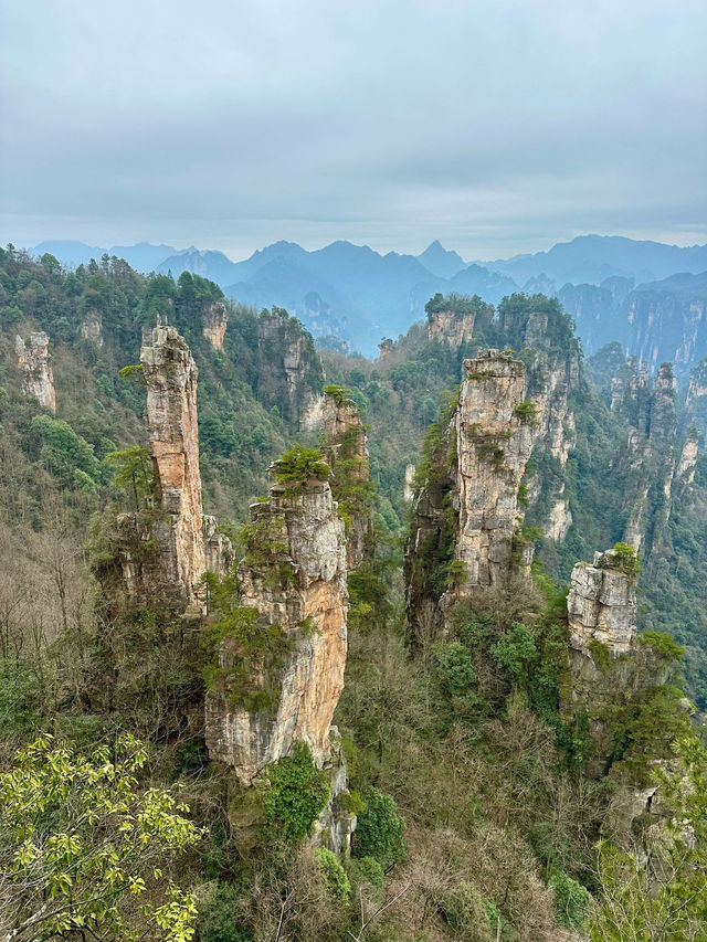 Zhangjiajie - no words to describe 