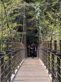 วิ่งเทรลไกล้โตเกียว เขา Takao ที่สายเทรลต้องมา