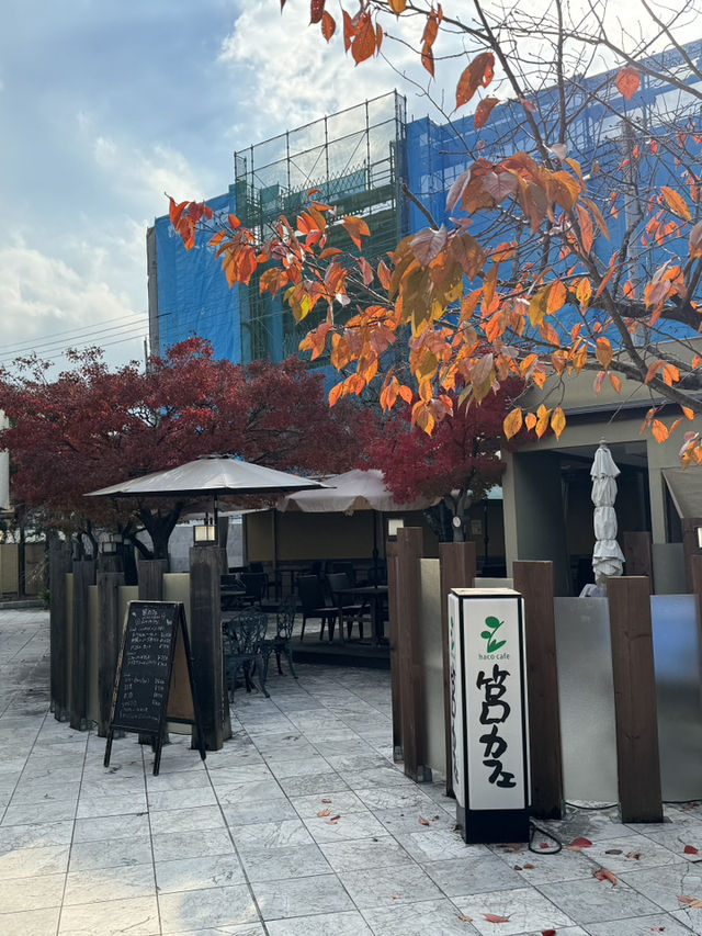 福岡｜筥崎宮｜拍照打卡好去處