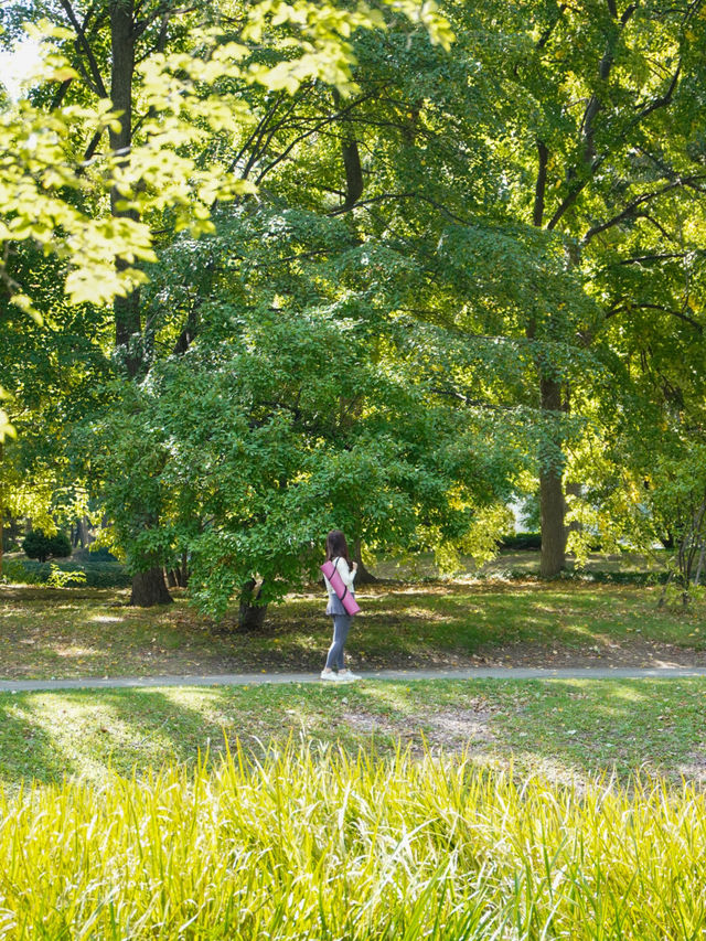 【北海道】広々とした公園！