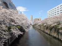 Meguro River