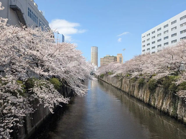 Meguro River