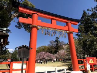 A Sacred and Serene Retreat: Kamigamo Honzan