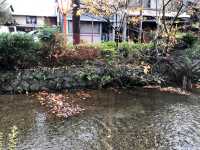 【二尊院の紅葉｜嵯峨野に広がるもみじのトンネル】