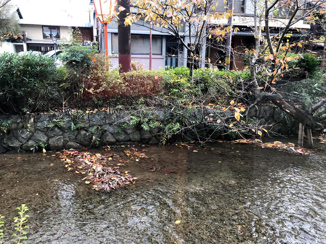 【二尊院の紅葉｜嵯峨野に広がるもみじのトンネル】