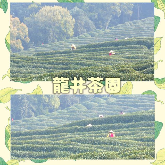 自由行：就在杭州不遠處。。。