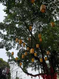 Baiyun mountain ภูเขาไป่หยุน