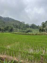 Should you visit Ella? Sri Lanka 
