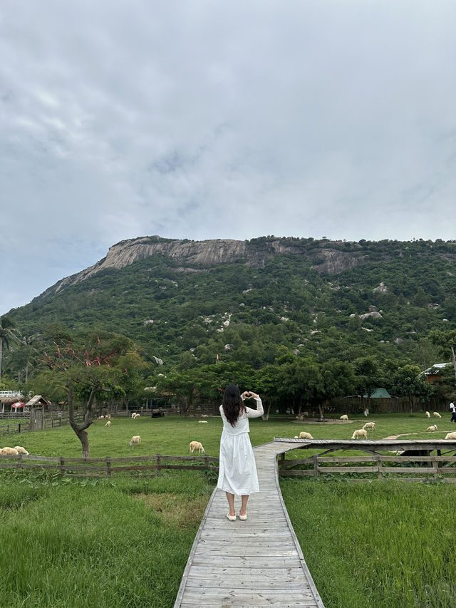 나트랑 양떼목장 🐑