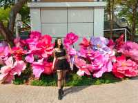 Netherlands Flower town / Dutch Flower town