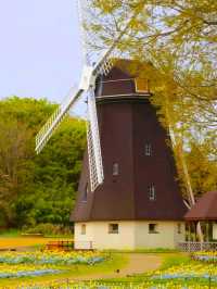 Tsurumi Ryokuchi Park – Osaka’s Hidden Garden Wonderland