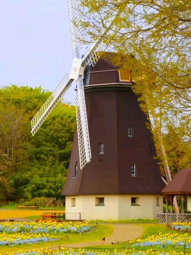 Tsurumi Ryokuchi Park – Osaka’s Hidden Garden Wonderland