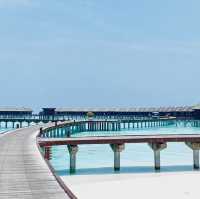 🌴Sun Siyam Olhuveli: A Luxurious Island Retreat