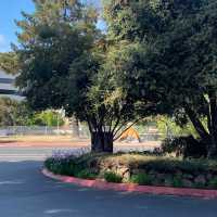 赤塚公園｜城市綠洲之美