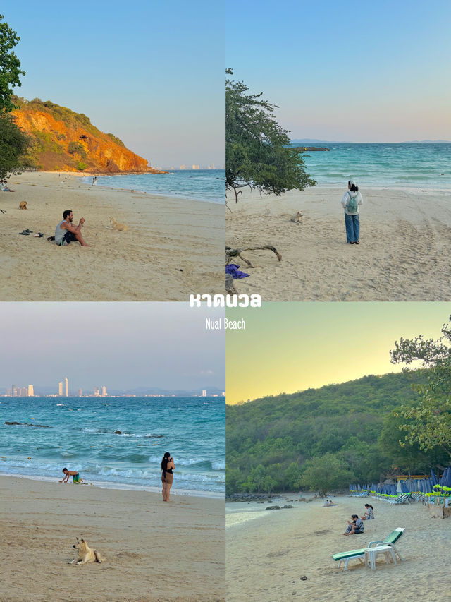 15 ที่เที่ยวเกาะล้าน จ.ชลบุรี 🏝️☀️🩳⛱️