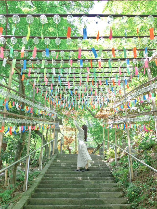 【福岡】福岡県南部を巡る1日日帰り旅