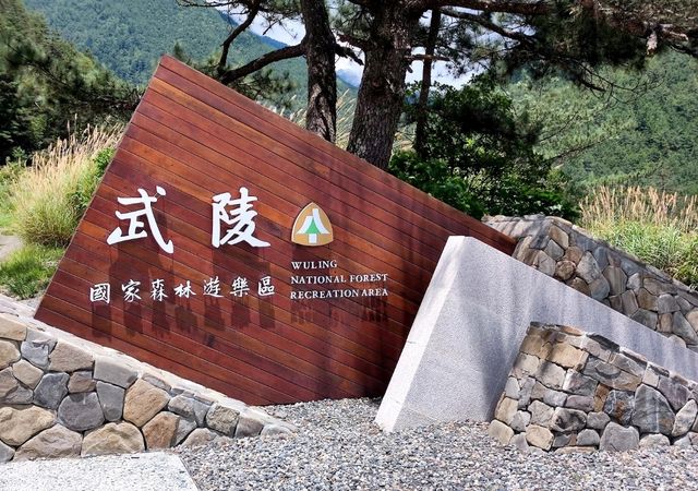 #武陵國家森林遊樂區-臺中區和平區