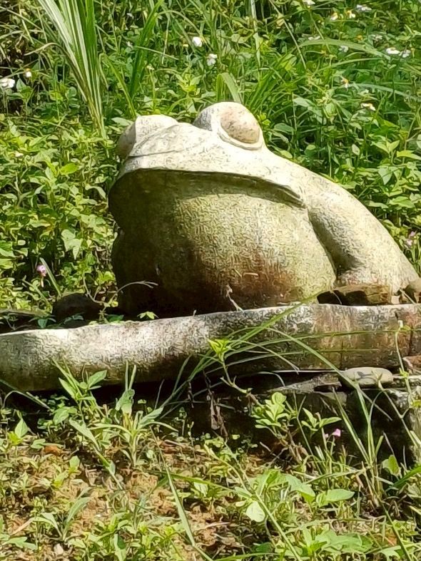 最親近台北的森林步道～富陽及黎和自然生態公園走走