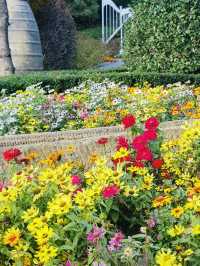 Wonye Arts Village: A Horticultural Haven 