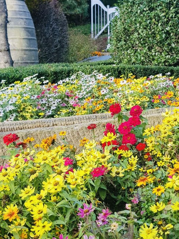 Wonye Arts Village: A Horticultural Haven 
