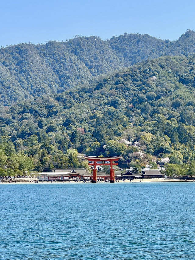 【広島/宮島】宮島日帰り旅行