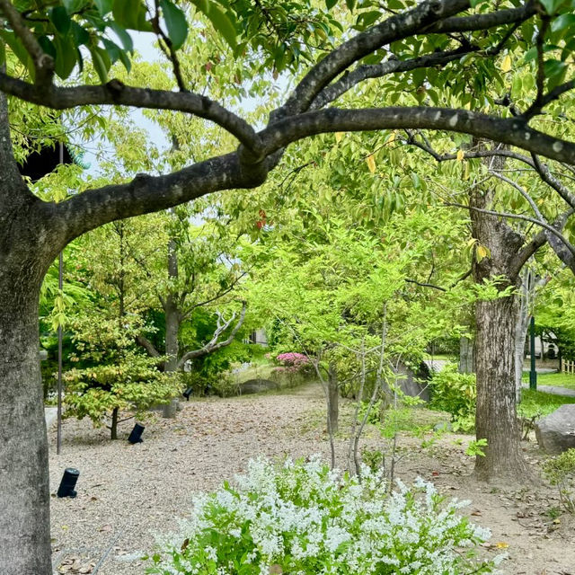 ～與力町公園～靜謐綠意～
