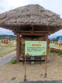 #富里稻草藝術景觀區-花蓮縣富里鄉