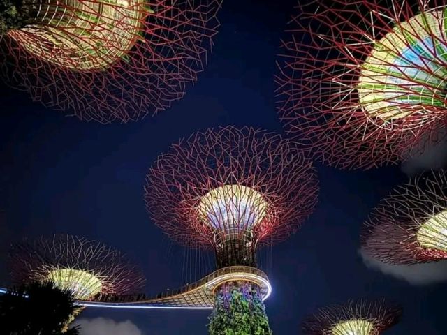 A Walk Through the Future: Exploring Gardens by the Bay, Singapore