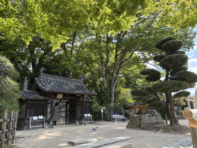 岡山後楽園