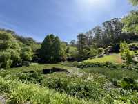 Adelaide Hills Botanic Garden: A Nature Lover’s Hidden Paradise
