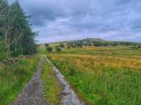 Wild and Wonderful – A Lake District Walk to Remember