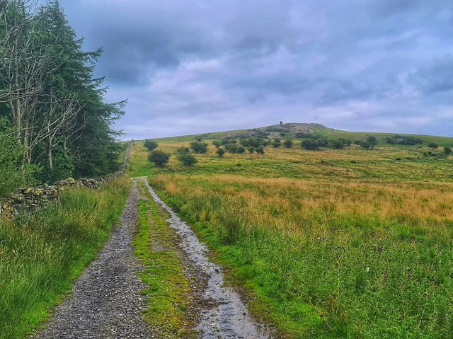 Wild and Wonderful – A Lake District Walk to Remember