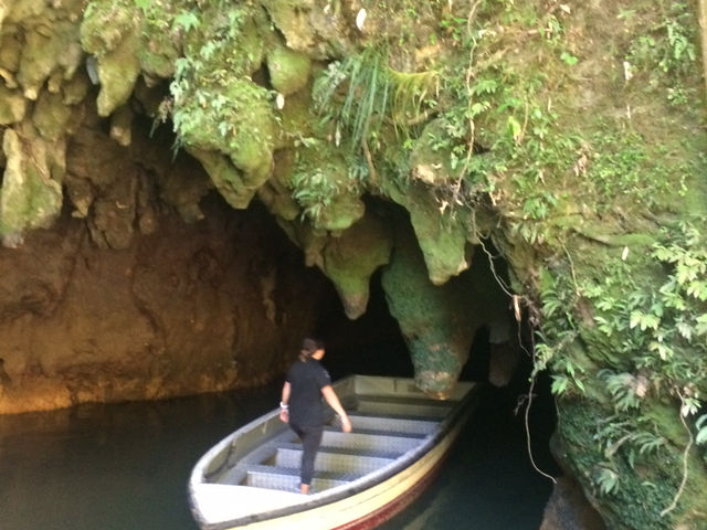  紐西蘭 Waitomo Glowworm Caves：一場地底星空的靜默奇遇