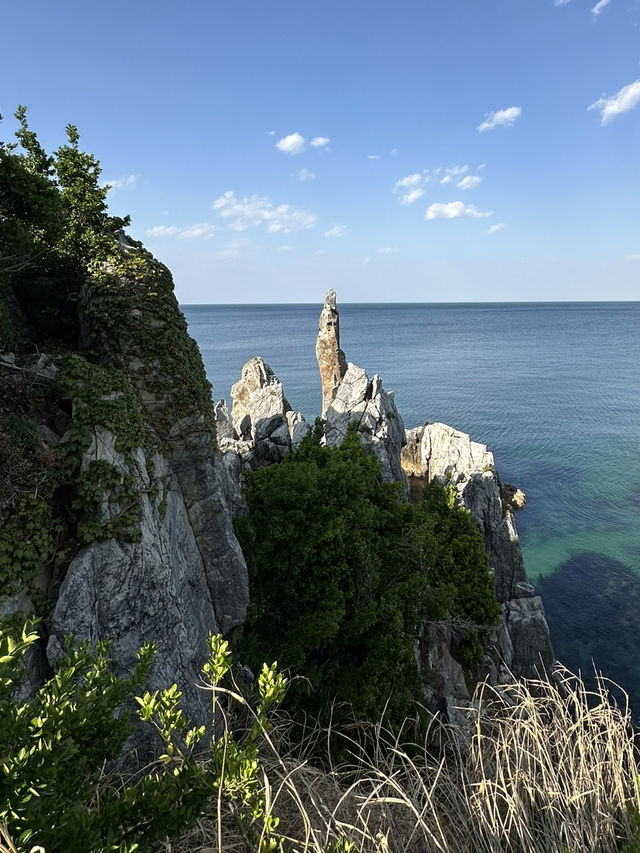 푸르른 동해바다 파도를 머금은 🌊 동해 추암해변 랜드마크 여행가이드🏄‍♂️