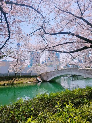 Seoul Day Trip Itinerary