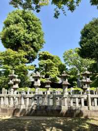 A Peaceful Spring Day at Gokokuji Temple