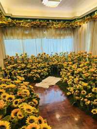 🌻คาเฟ่สุดน่ารัก ฮีลใจย่านจรัญฯ🌻