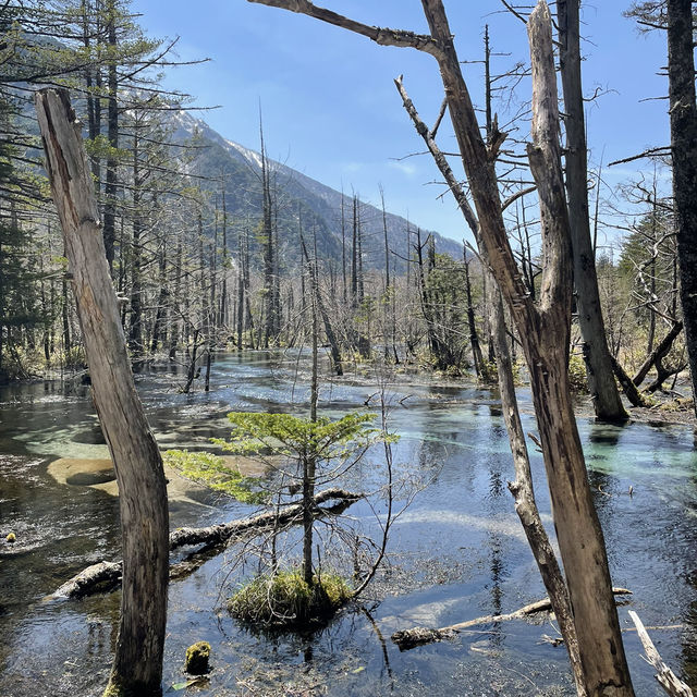 【長野】人生で一度は行きたい絶景スポット🏔️