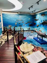 Discover Borneo’s Wonders at the Natural History Museum Kuching