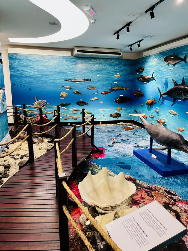 Discover Borneo’s Wonders at the Natural History Museum Kuching